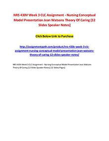 NRS 430V Week 3 CLC Assignment - Nursing Conceptual Model Presentatio