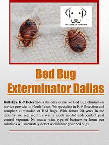 bed bug control