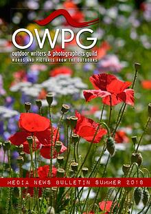 OWPG: Media News Bulletin