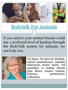 bodytalk for animals