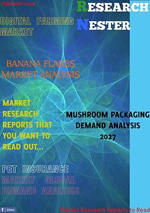 Business Magazine on Market Research - Research Nester