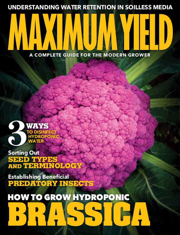 Maximum Yield USA September 2018