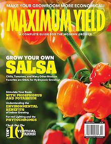 Maximum Yield USA