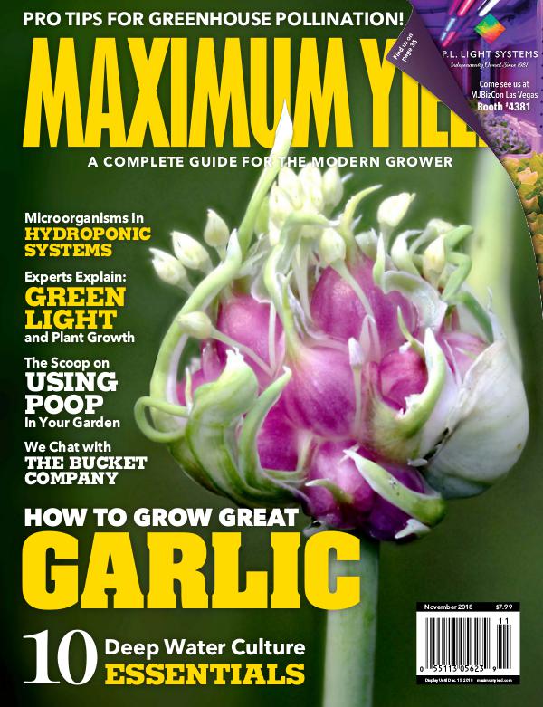 Maximum Yield USA November 2018