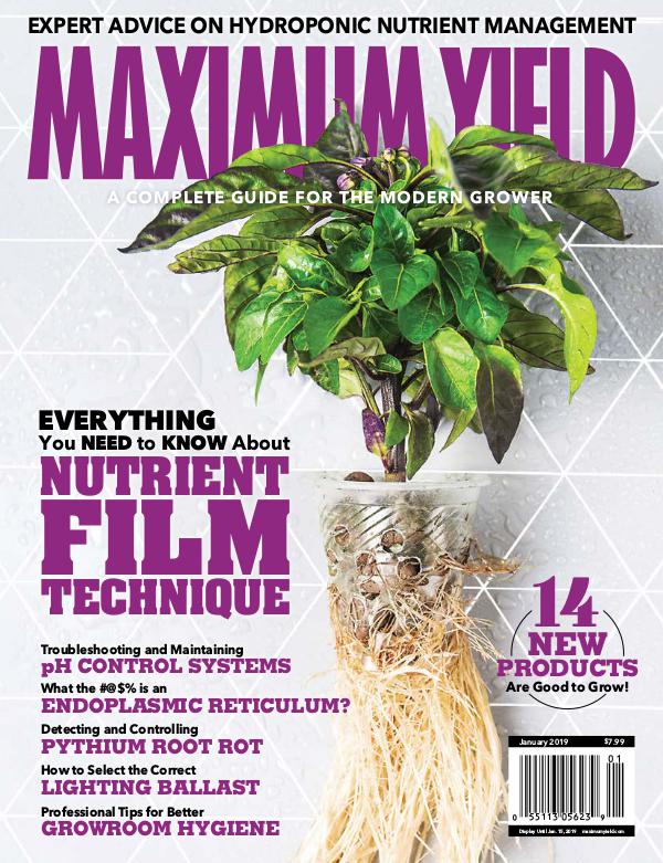 Maximum Yield USA January 2019