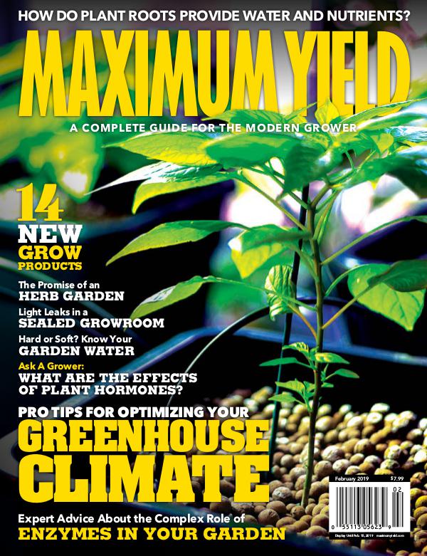 Maximum Yield USA February 2019