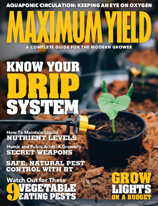 Maximum Yield USA October/November 2019