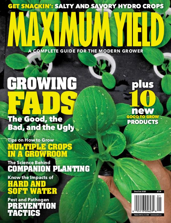 Maximum Yield USA December 2019 / January 2020