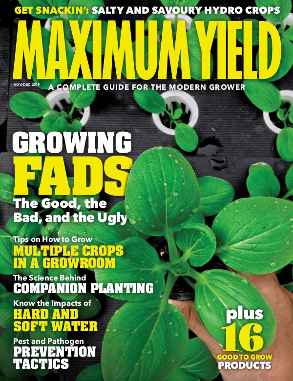 Maximum Yield Australia/New Zealand November/December 2019