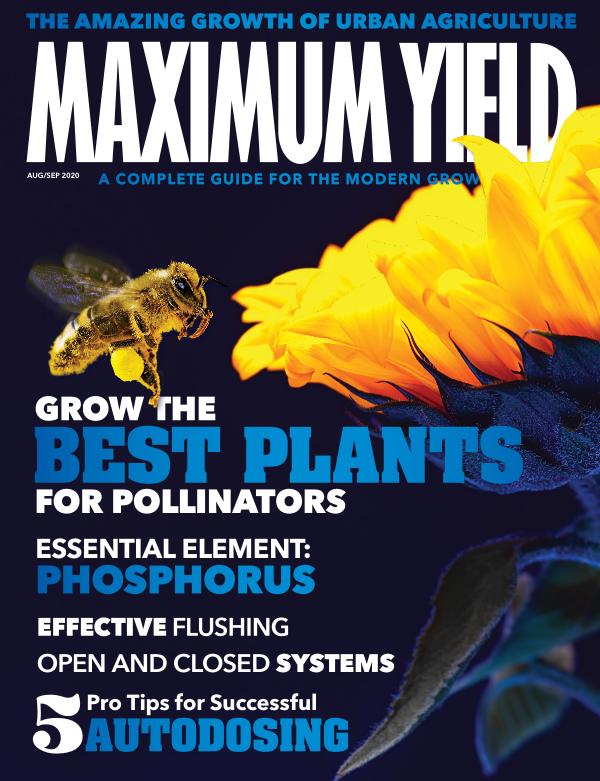 Maximum Yield USA August/September 2020