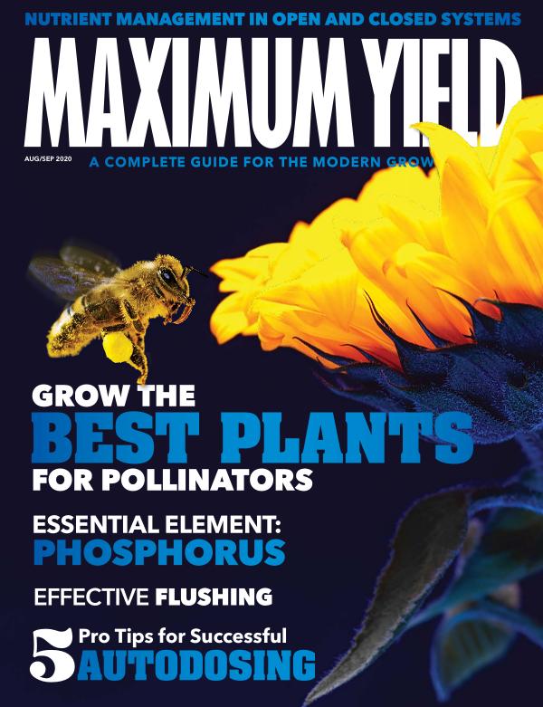 Maximum Yield Australia/New Zealand July/August 2020