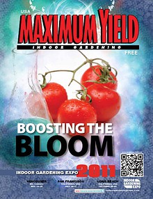 Maximum Yield USA