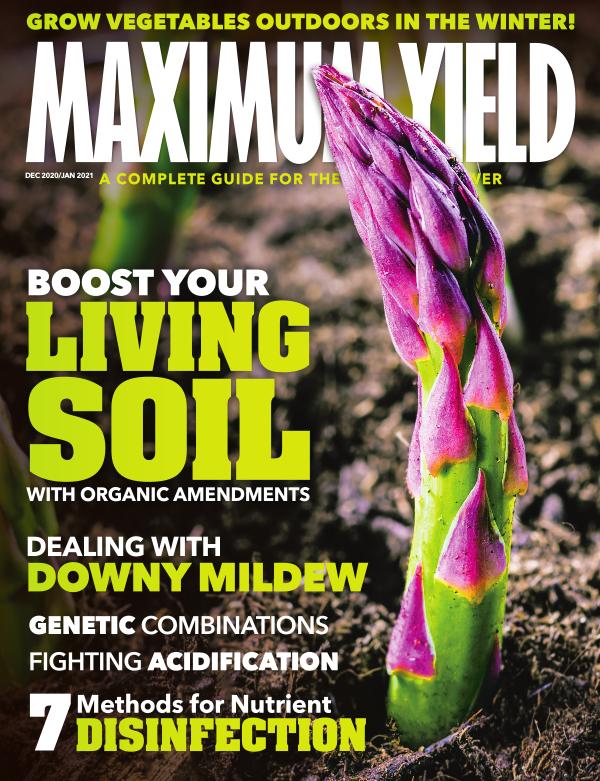 Maximum Yield USA December 2020 / January 2021