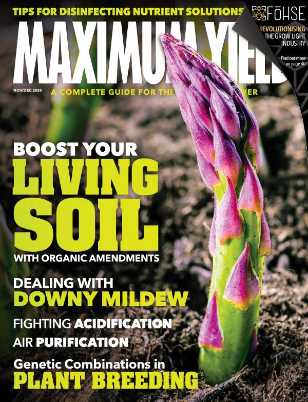 Maximum Yield Australia/New Zealand November/December 2020