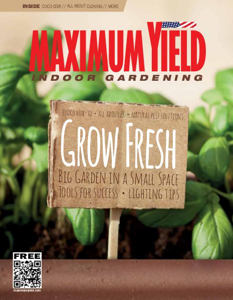 Maximum Yield USA August 2016