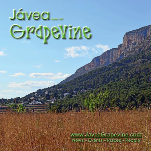 Javea Grapevine 337