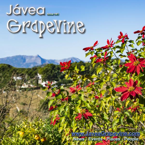 Javea Grapevine 343