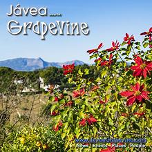 Javea Grapevine