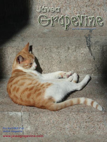 Javea Grapevine Issue 178  - LARGE FONT EDITION