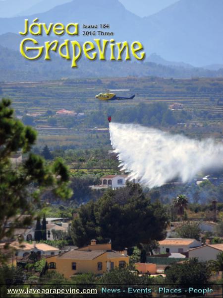 Javea Grapevine 184 2016 Three