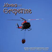 Javea Grapevine