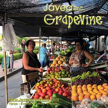 Javea Grapevine