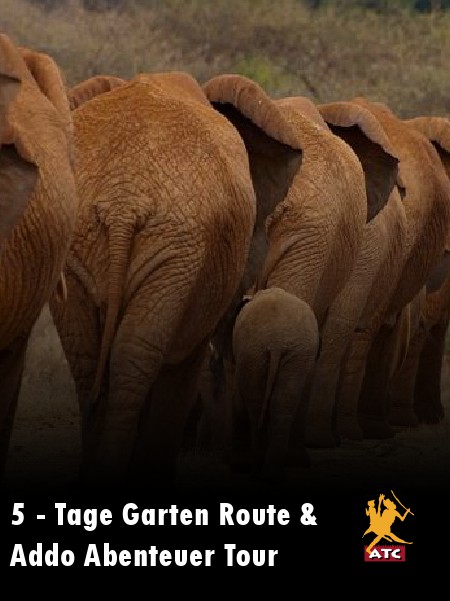 5 - Tage Garten Route & Addo Abenteuer Tour Juni 2014