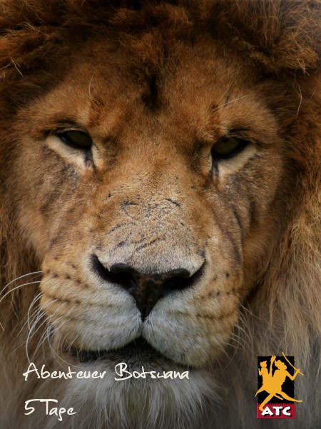 5 Tage Botswana Abenteuer July 2014