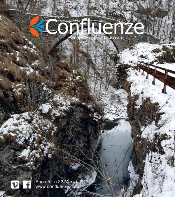 Confluenze Magazine Nt. 17 Numero 22 2017