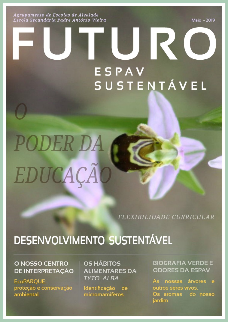 1ª Edição; 1º Volume