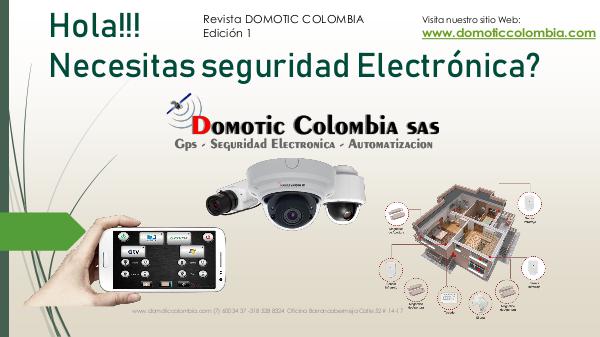 Revista Electronica