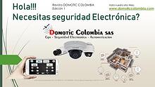 Seguridad Electronica