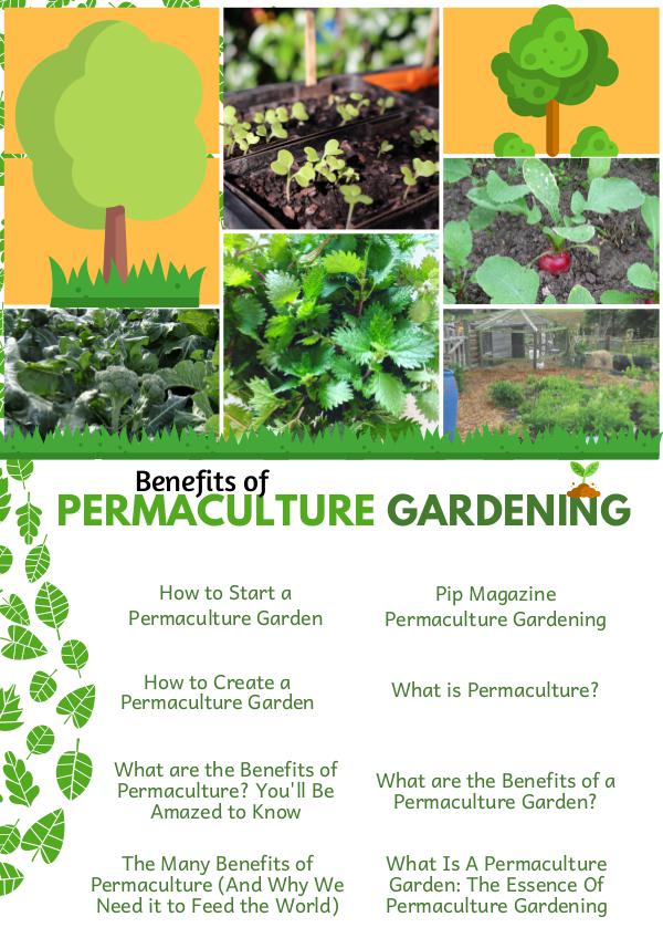 Permaculture Benefits of Permaculture Gardening