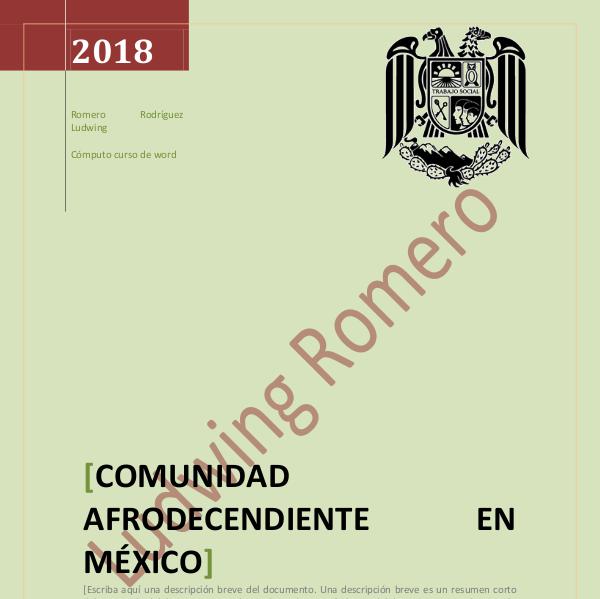 Mi primera revista 2Comunidad afrodecendiente en méxico LUDWING