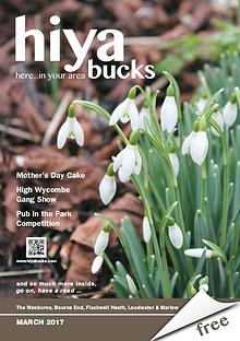 hiya bucks in Bourne End, Flackwell Heath, Marlow, Wycombe, Wooburn