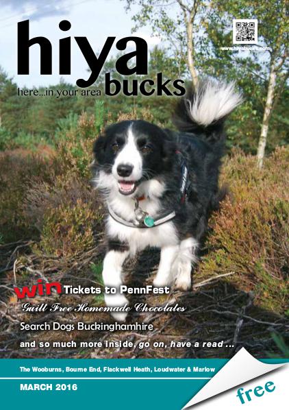 hiya bucks in Bourne End, Flackwell Heath, Marlow, Wycombe, Wooburn March 2016