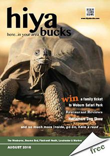 hiya bucks in Bourne End, Flackwell Heath, Marlow, Wycombe, Wooburn