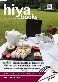 hiya bucks in Bourne End, Flackwell Heath, Marlow, Wycombe, Wooburn