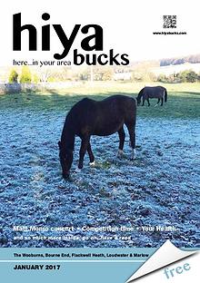 hiya bucks in Bourne End, Flackwell Heath, Marlow, Wycombe, Wooburn