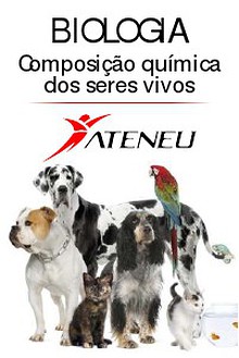 Ateneu