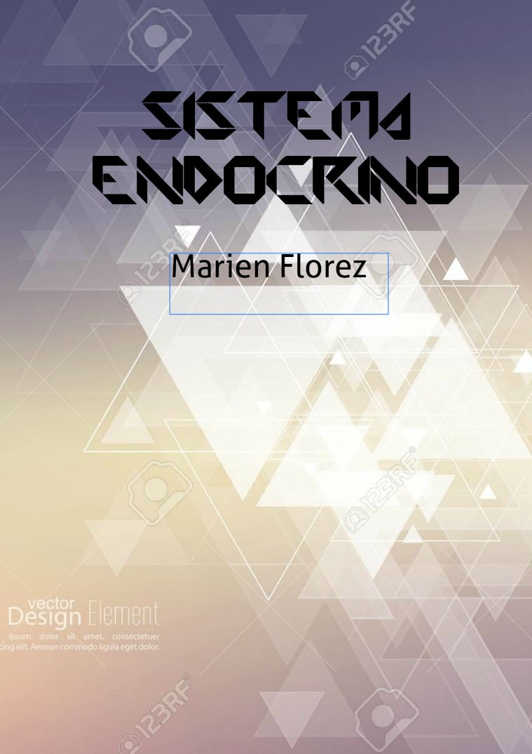 sistema endocrino hjj