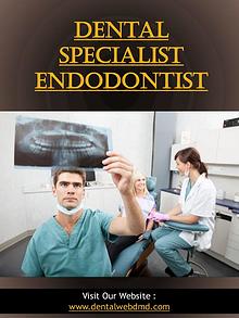 Dental Specialist Endodontist | dentalwebdmd.com