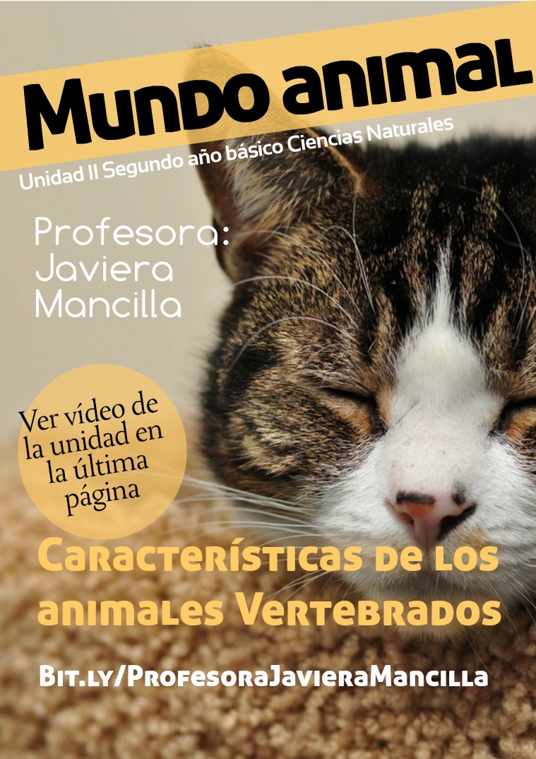 Programa de Ciencias Naturales 6º año básico Mundo animal