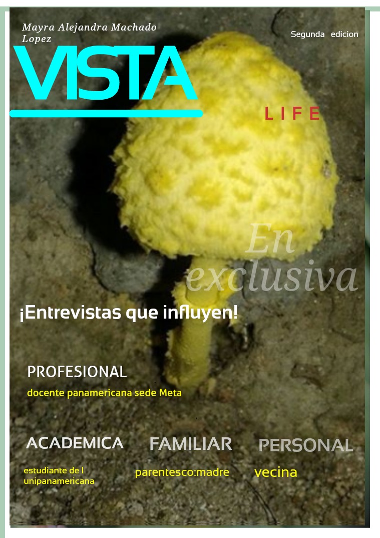 Mi primera revista Vista