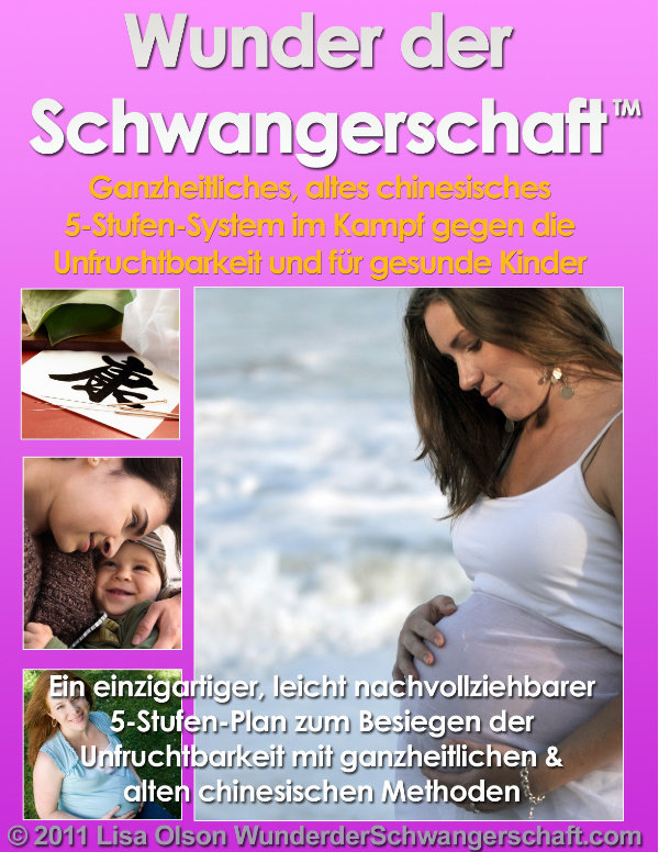 Wunder Der Schwangerschaft BUCH PDF von Lisa Olson Vollständiges Programm herunterladen