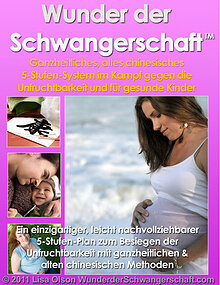 Wunder Der Schwangerschaft BUCH PDF von Lisa Olson