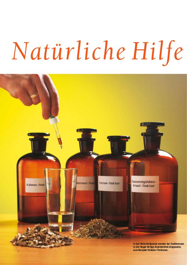 Sodbrennen Natürlich Heilen Buch PDF Download Sodbrennen Hausmittel vollProgramm