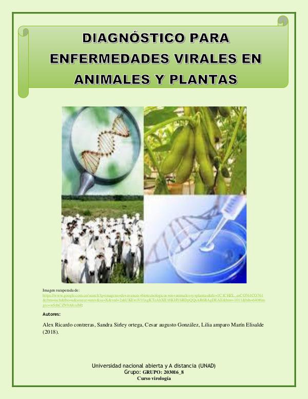 cartilla diagnostico  de enfermedades virales cartilla diasnosticos de enfermedades virales