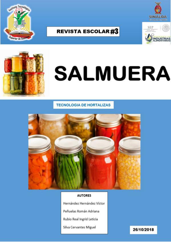 REVISTA ESCOLAR DE SALMUERA REVISTA ESCOLAR Completa