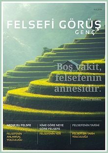 Felsefi Görüş